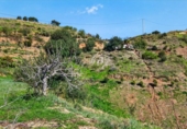 Terreno no urbanizable en venta en la España, Pizarra, ref: TR381051 foto