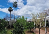 Chalet independiente con terreno en venta en la España, Encinarejo de Córdoba, ref: TR406978 foto