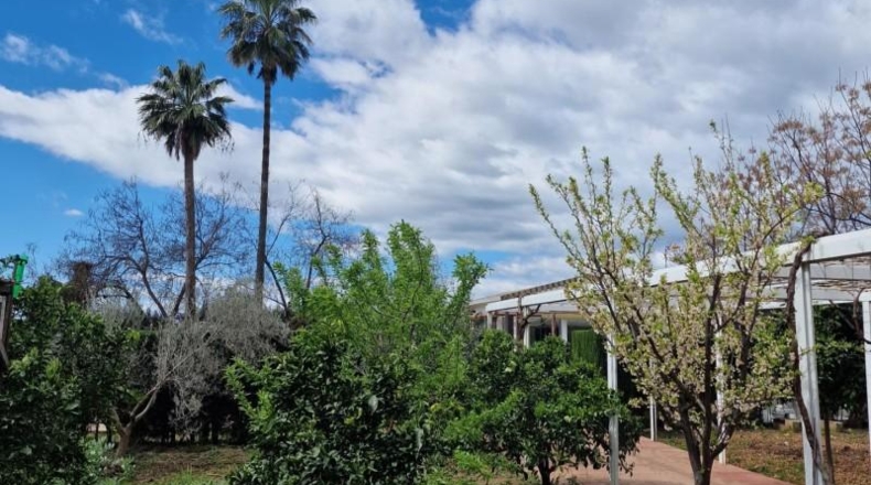 Cordova - Encinarejo de Córdoba - 1227m2