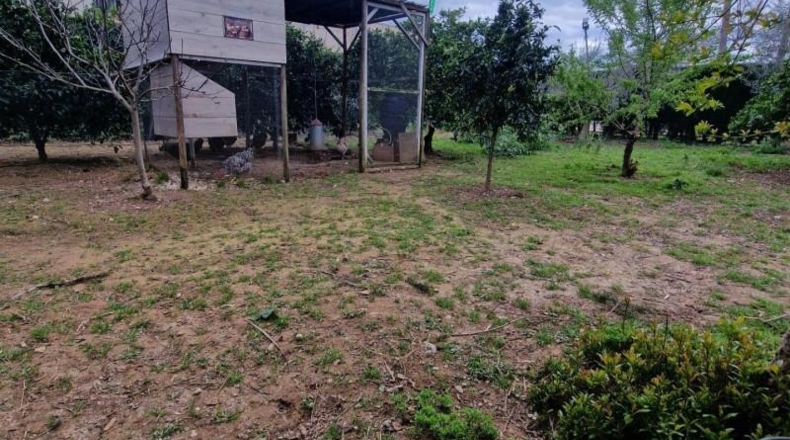 Cordova - Encinarejo de Córdoba - 1227m2