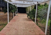 Chalet independiente con terreno en venta en la España, Encinarejo de Córdoba, ref: TR406978 foto