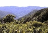 Village house for sale on España, Fuente Obejuna, ref: TR383680 photo