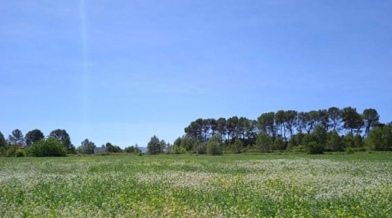Valencia - Agullent - 39168m2