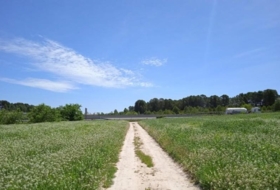 Agullent 39168&nbsp;m²