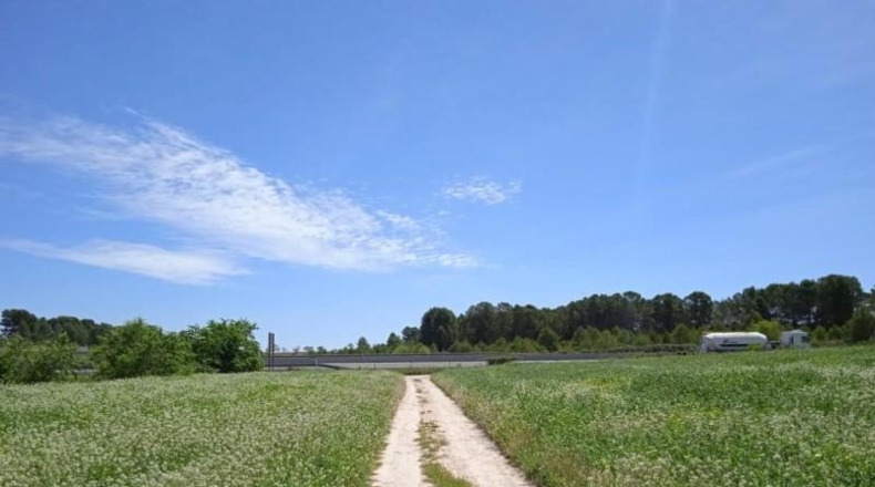 Valencia - Agullent - 39168m2