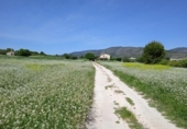 Parcela urbanizable en venta en la España, Agullent, ref: TR393996 foto