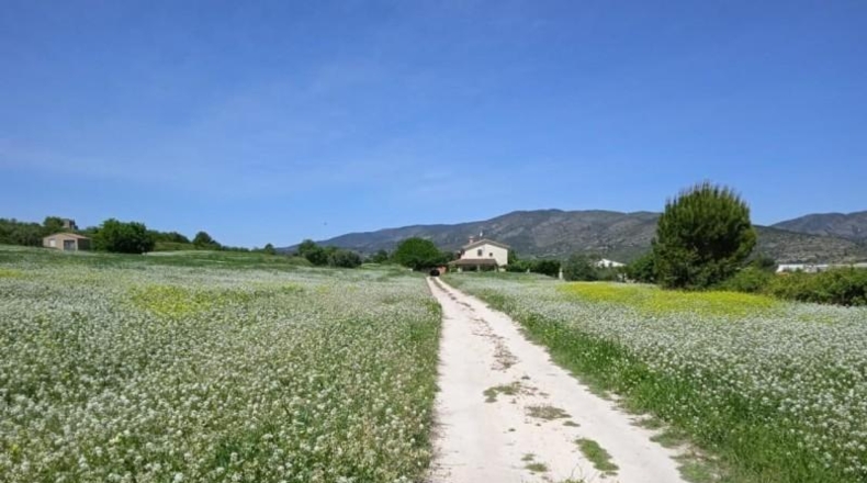 Valencia - Agullent - 39168m2