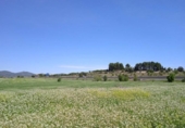 Parcela urbanizable en venta en la España, Agullent, ref: TR393996 foto