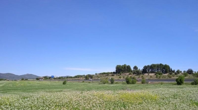 Valencia - Agullent - 39168m2