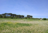 Parcela urbanizable en venta en la España, Agullent, ref: TR393996 foto
