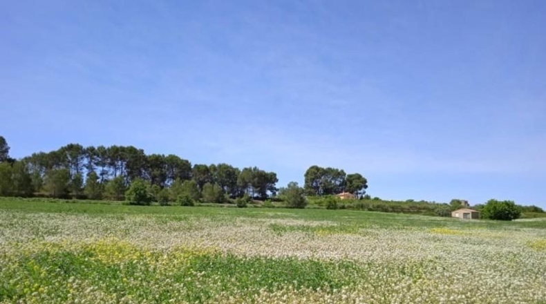 Valencia - Agullent - 39168m2