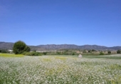 Parcela urbanizable en venta en la España, Agullent, ref: TR393996 foto