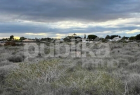 Requena 19950&nbsp;m²