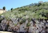 Suelo urbano en venta en la España, Dénia, ref: TR413852 foto