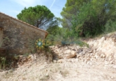 Terreno no urbanizable en venta en la España, Gandia, ref: TR320563 foto