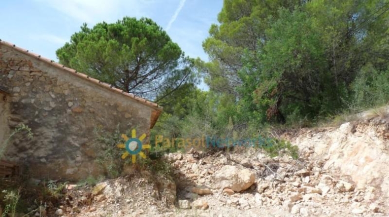 Valencia - Реаль-де-Гандия - 22000m2