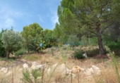 Terreno no urbanizable en venta en la España, Gandia, ref: TR320563 foto