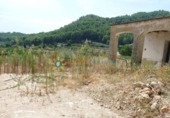 Terreno no urbanizable en venta en la España, Gandia, ref: TR320563 foto