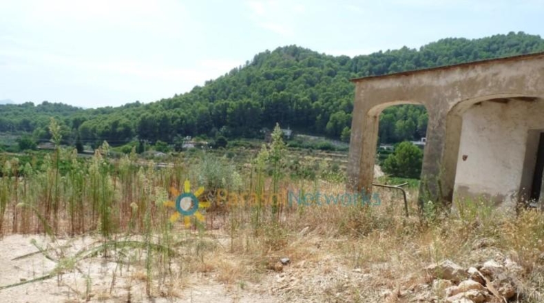 Valencia - Реаль-де-Гандия - 22000m2