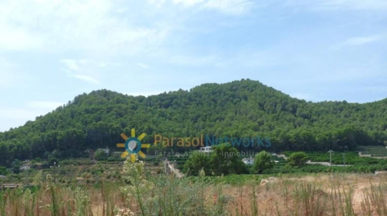 Valencia - Реаль-де-Гандия - 22000m2