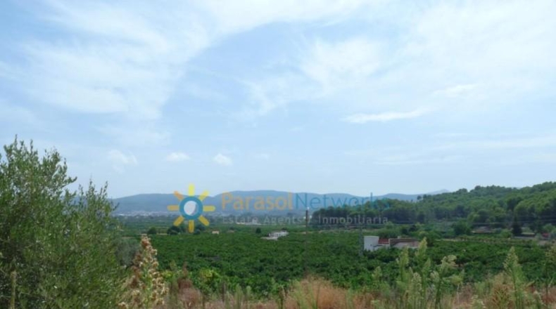 Valencia - Реаль-де-Гандия - 22000m2