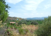 Terreno no urbanizable en venta en la España, Gandia, ref: TR320563 foto