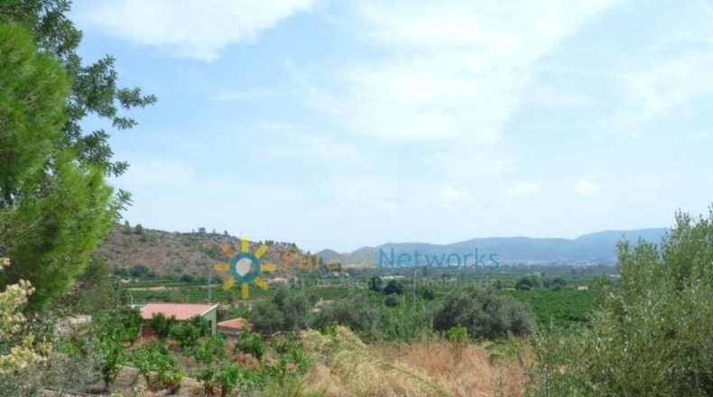 Valencia - Реаль-де-Гандия - 22000m2