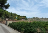 Terreno no urbanizable en venta en la España, Gandia, ref: TR320563 foto