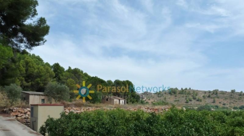 Valencia - Реаль-де-Гандия - 22000m2