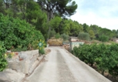 Terreno no urbanizable en venta en la España, Gandia, ref: TR320563 foto