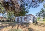 Detached villa with land for sale on España, Llíria, ref: TR413858 photo