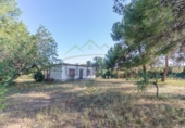 Detached villa with land for sale on España, Llíria, ref: TR413858 photo