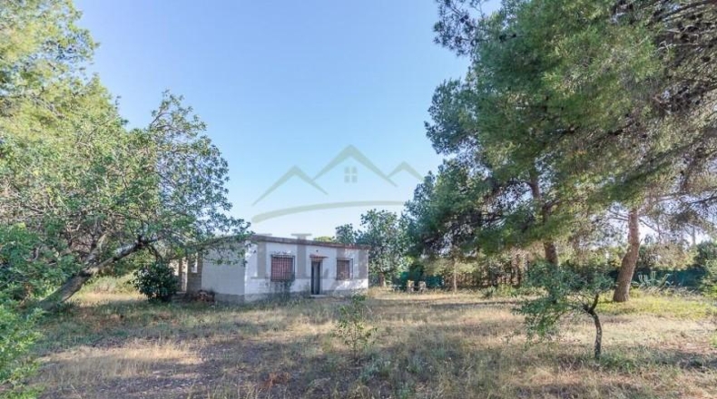 Valencia - Llíria - 1397m2