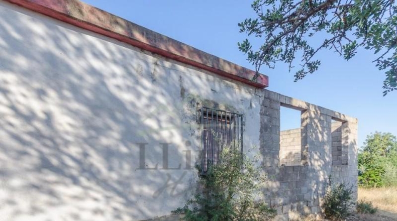 Valencia - Llíria - 1397m2