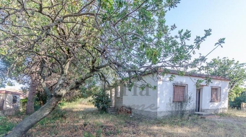 Valencia - Llíria - 1397m2