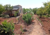 Casa de campo con terreno en venta en la España, Palma, ref: TR413860 foto