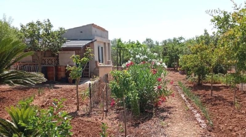 Islas Baleares - Palma - 4172m2
