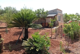 Palma 4172&nbsp;m²