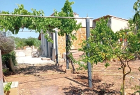 Palma 4172&nbsp;m²