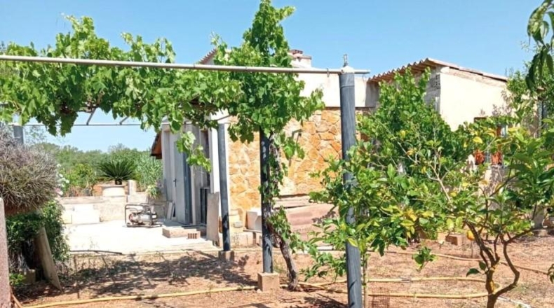 Islas Baleares - Palma - 4172m2