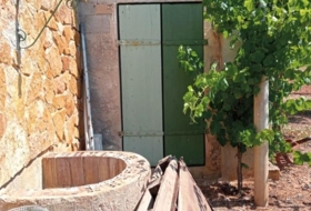 Palma 4172&nbsp;m²