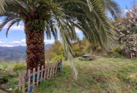 Villaviciosa 350&nbsp;m²