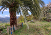 Village house for sale on España, Villaviciosa, ref: TR402521 photo