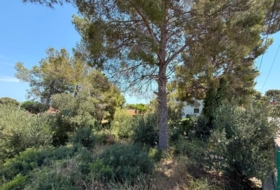 Cunit 824&nbsp;m²