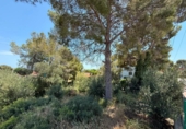Suelo urbano en venta en la España, Cunit, ref: TR413862 foto