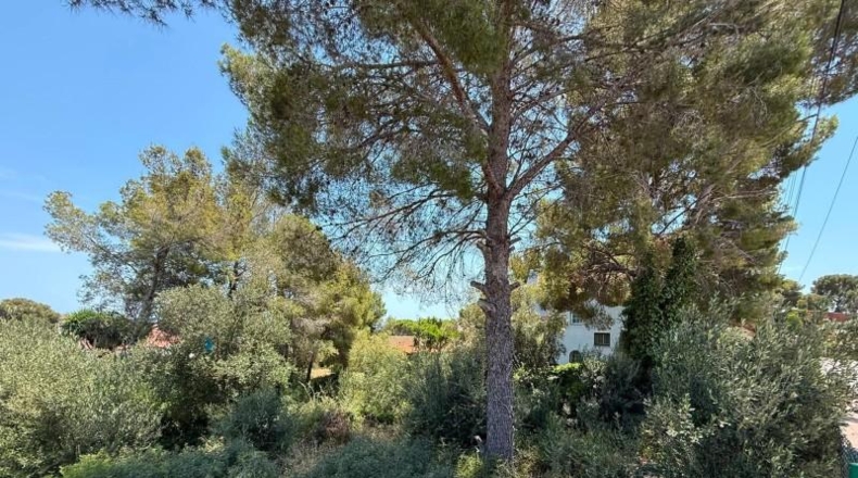 Tarragona - Cunit - 824m2