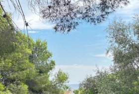 Cunit 824&nbsp;m²