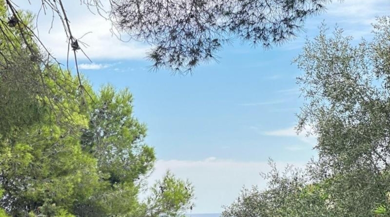 Tarragona - Cunit - 824m2