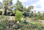 Urban land for sale on España, Dénia, ref: TR369579 photo