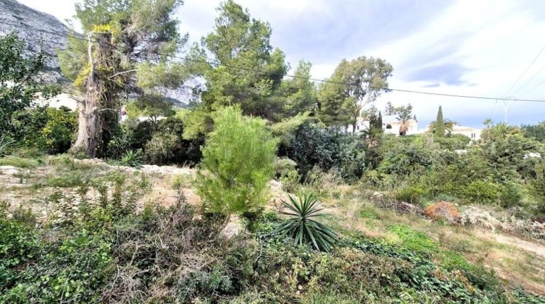 Alicante - Denia - 972m2